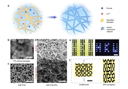 Schematics and images of electroconductive hydrogels.